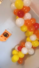 Load image into Gallery viewer, DIY BALLOON GARLAND - CREATE YOUR OWN COLOR MIX
